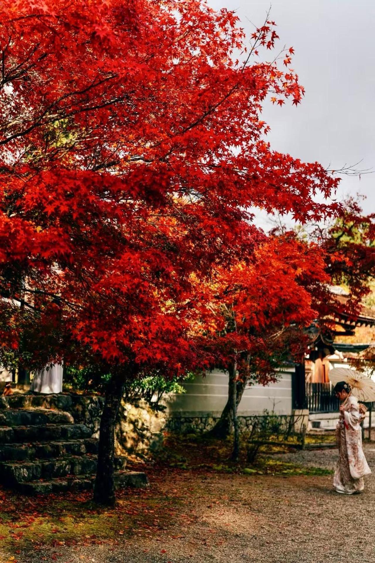 Yuki's House - Single-family House, 3 Minutes To The Nearest Bus Stop Villa Kyoto